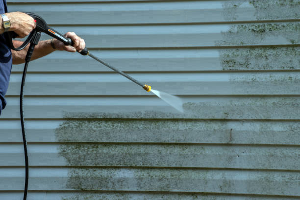 Local Pressure Washing Services in Spring Valley, IL